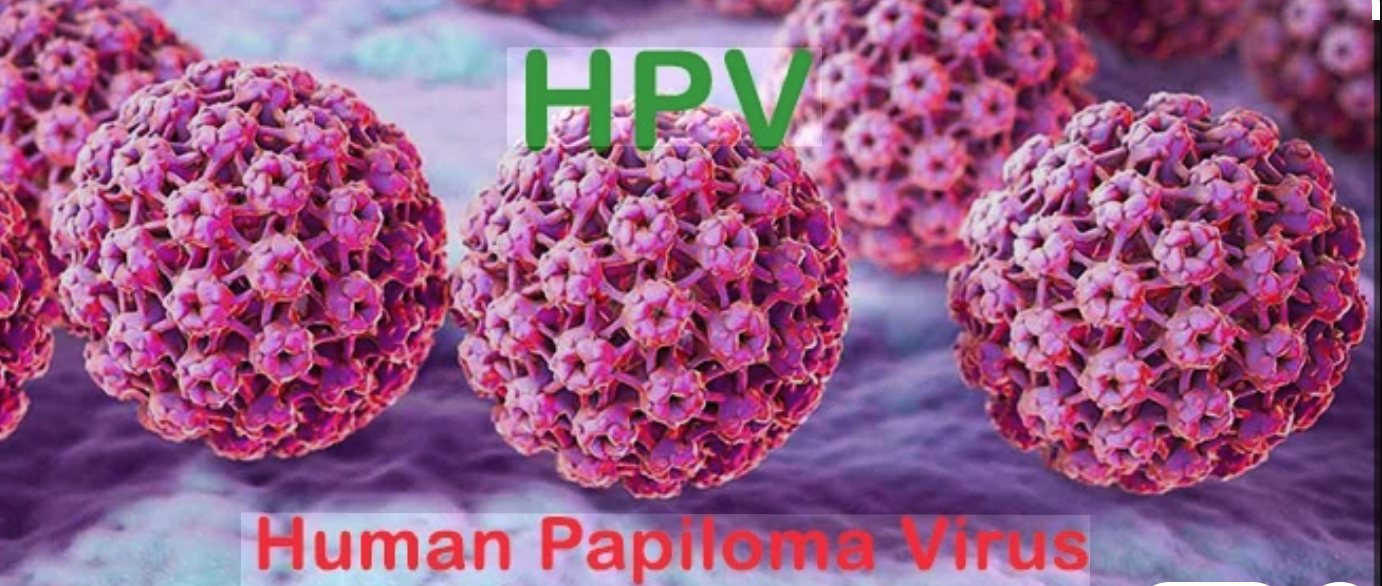 Human Papilloma Virüsü (HPV) partiküllerinin şematik görseli
